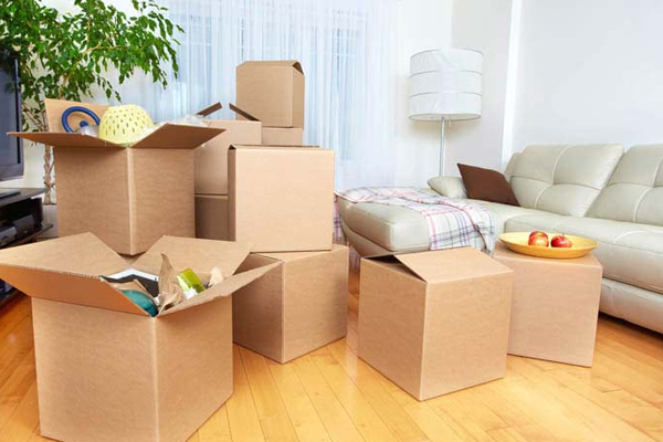 India Cargo Packers and Movers